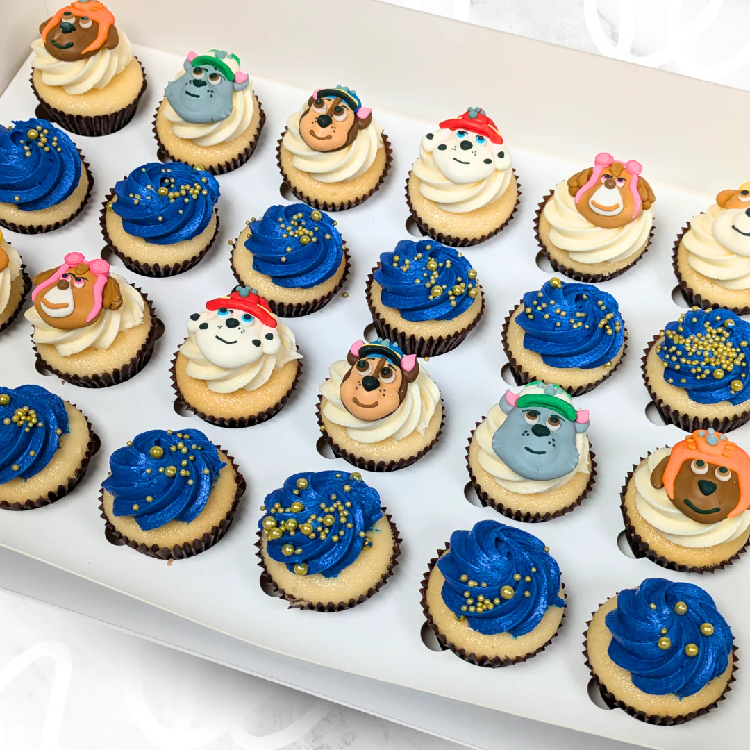 Paw Patrol Mini Cupcakes (24)
